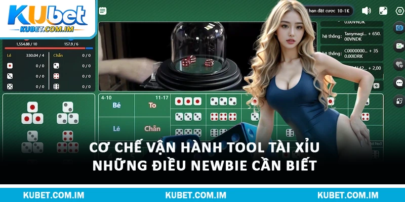 Cơ Chế Vận Hành Tool Tài Xỉu, Những Điều Newbie Cần Biết